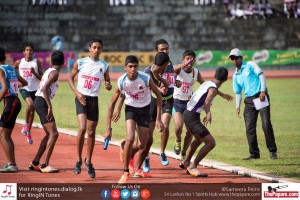 12080238_10154307820474251_4754213340185992744_o